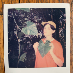 个性行业小蛇导航
