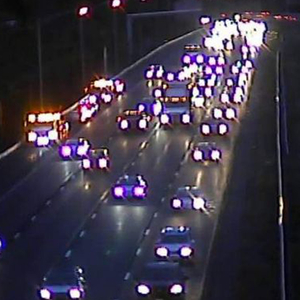 个性行业小蛇导航
