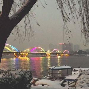 个性行业小蛇导航
